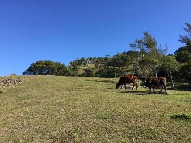 #34 - Área para Venda em Garopaba - SC
