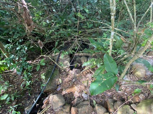 Área para Venda em Garopaba - 4