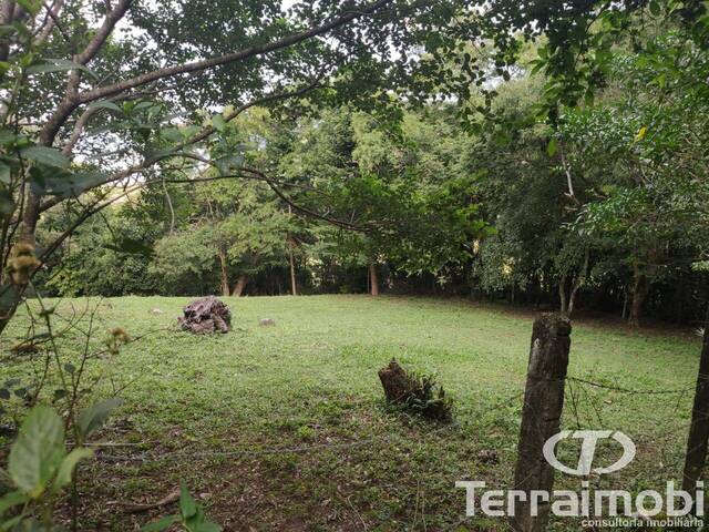 #158 - Área para Venda em Garopaba - SC - 1