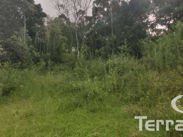 Área para Venda em Garopaba - 4