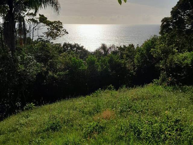 Área para Venda em Garopaba - 5