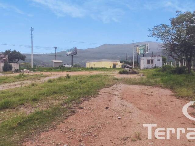 #292 - Terreno para Locação em Garopaba - SC - 1