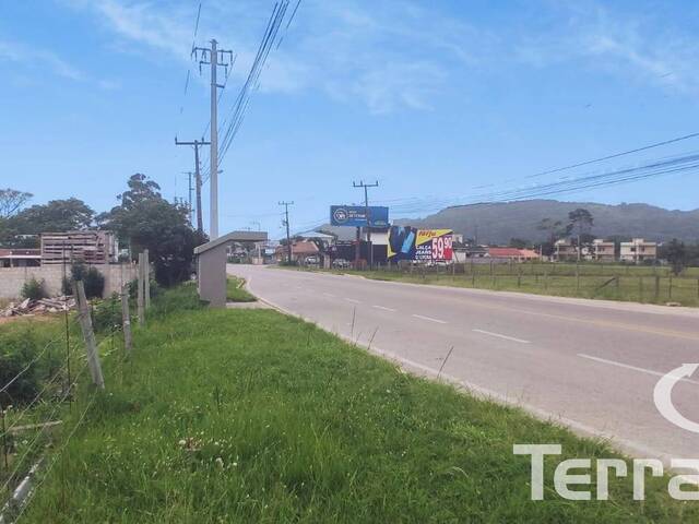 Terreno para Locação em Garopaba - 4