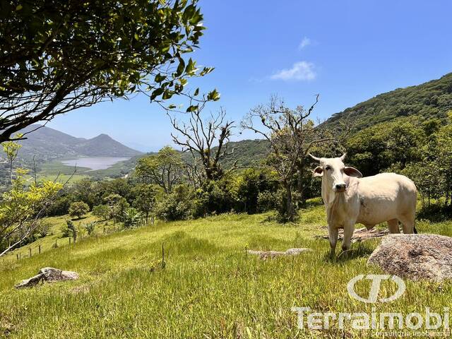 #326 - Área para Venda em Garopaba - SC - 1