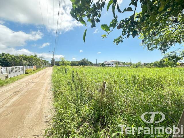 Área para Venda em Garopaba - 4