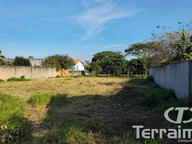 Terreno para Venda em Garopaba - 4