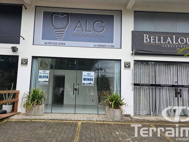 #447 - Sala para Venda em Garopaba - SC