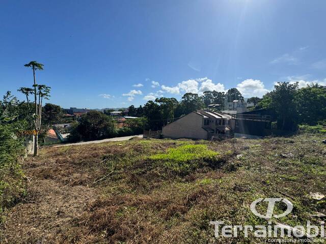 #475 - Área para Venda em Garopaba - SC - 3