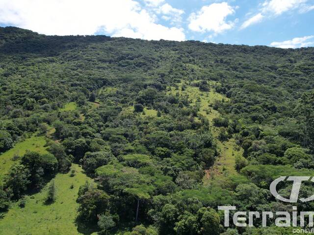 Área para Venda em Garopaba - 5