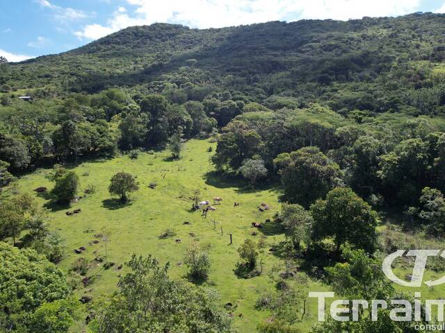 Área para Venda em Garopaba - 4