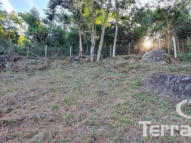 #491 - Área para Venda em Garopaba - SC - 3
