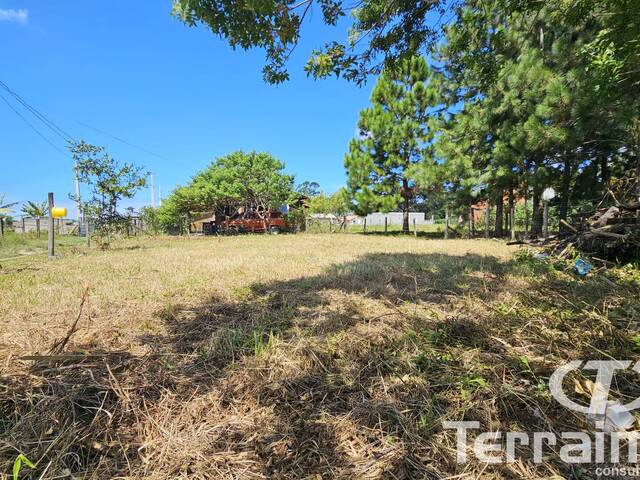 #506 - Terreno para Venda em Garopaba - SC - 2
