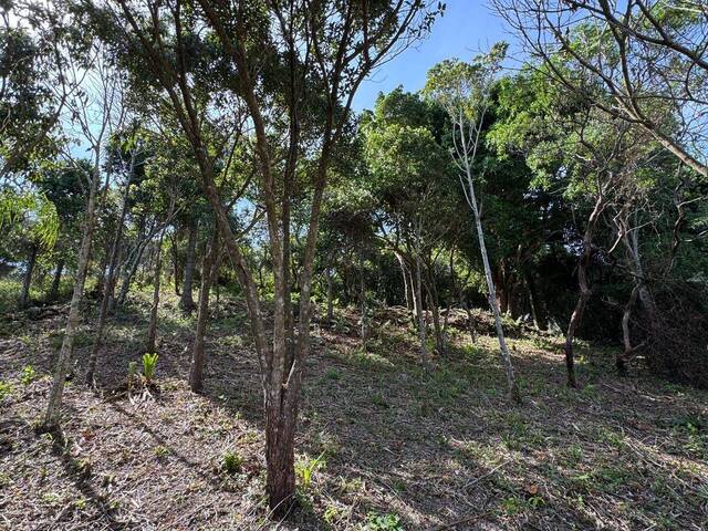 Área para Venda em Garopaba - 4