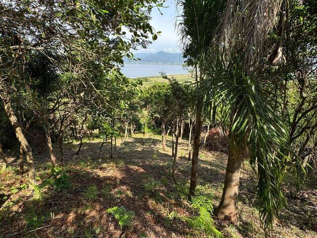 Área para Venda em Garopaba - 5