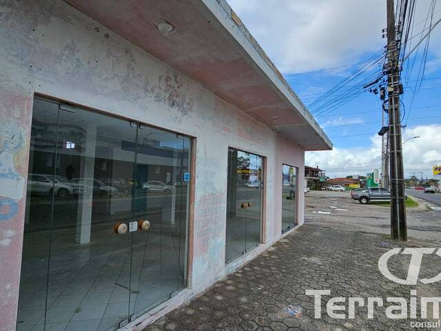 #514 - Sala para Locação em Garopaba - SC - 3