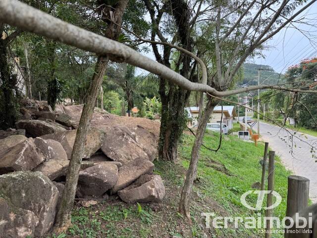 Área para Venda em Garopaba - 4