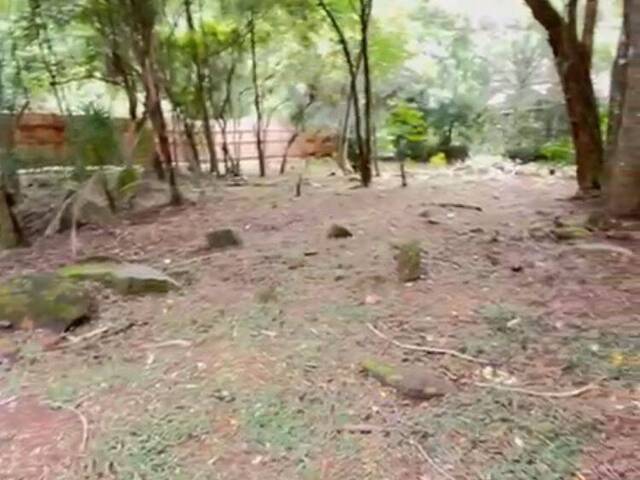 #574 - Área para Venda em Garopaba - SC - 2