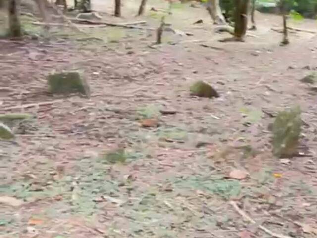 #574 - Área para Venda em Garopaba - SC - 3