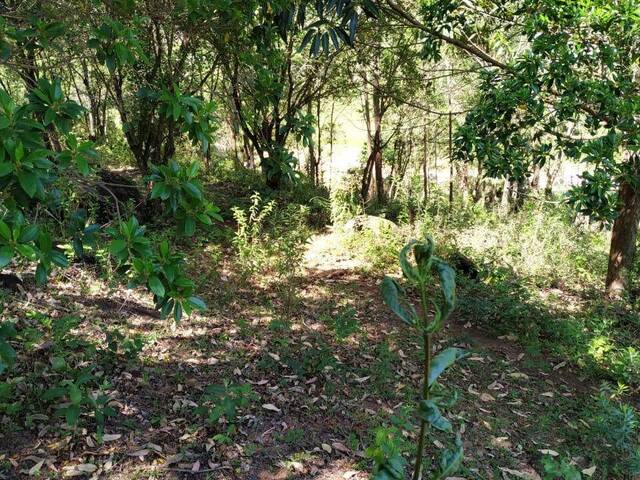 #593 - Área para Venda em Garopaba - SC - 2