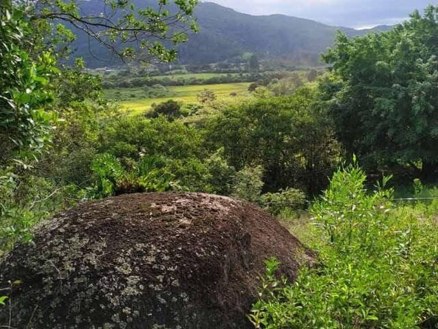 #593 - Área para Venda em Garopaba - SC - 1