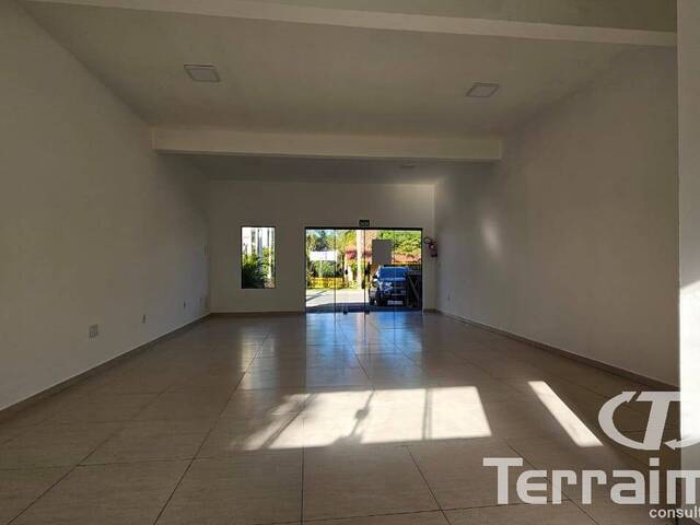 #594 - Sala para Locação em Garopaba - SC - 3