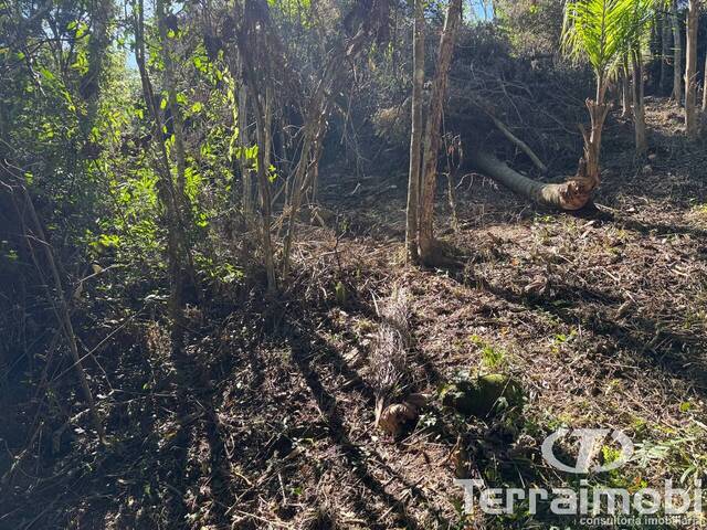 #648 - Área para Venda em Garopaba - SC