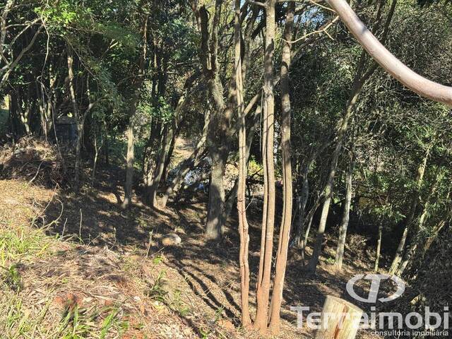 Área para Venda em Garopaba - 4