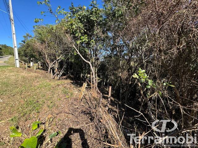 Área para Venda em Garopaba - 5