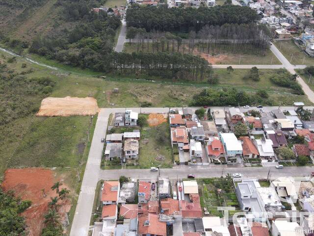 Terreno para Venda em Garopaba - 4