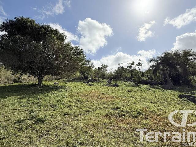 Terreno para Venda em Garopaba - 4