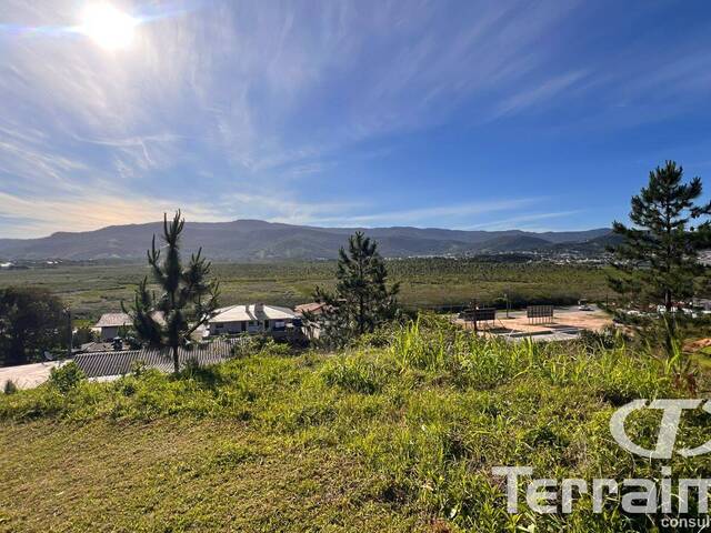 #704 - Terreno para Venda em Garopaba - SC - 3