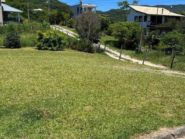 #770 - Área para Venda em Garopaba - SC - 3