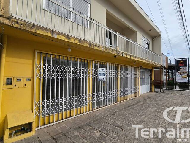 Sala para Locação em Garopaba - 4