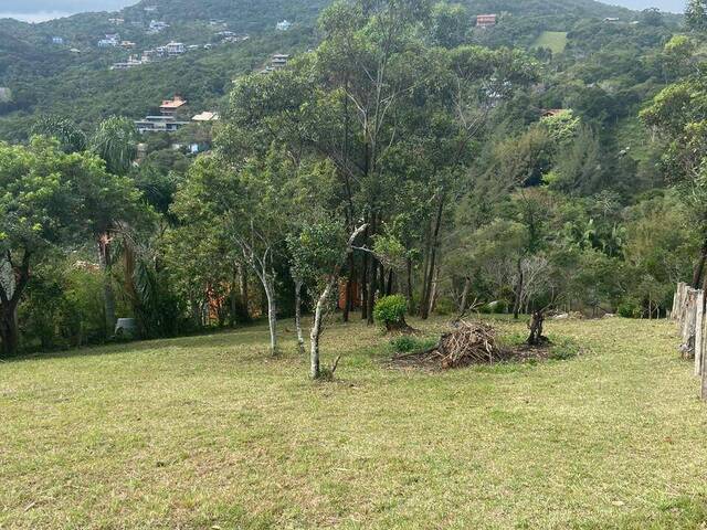 #781 - Terreno para Venda em Garopaba - SC - 3
