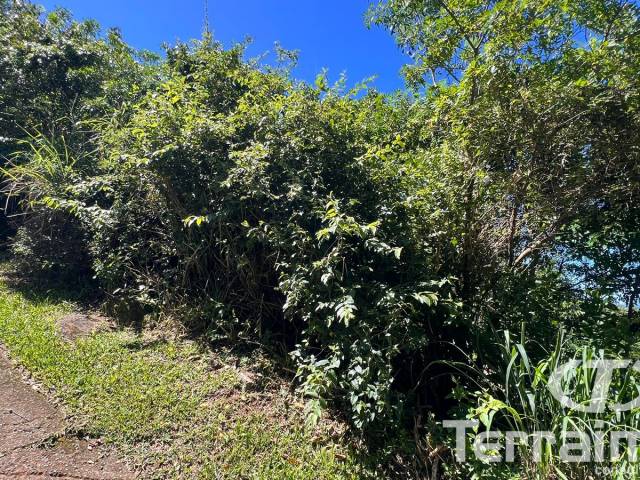 Terreno para Venda em Garopaba - 4