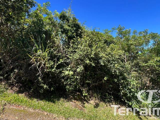 #797 - Terreno para Venda em Garopaba - SC - 3