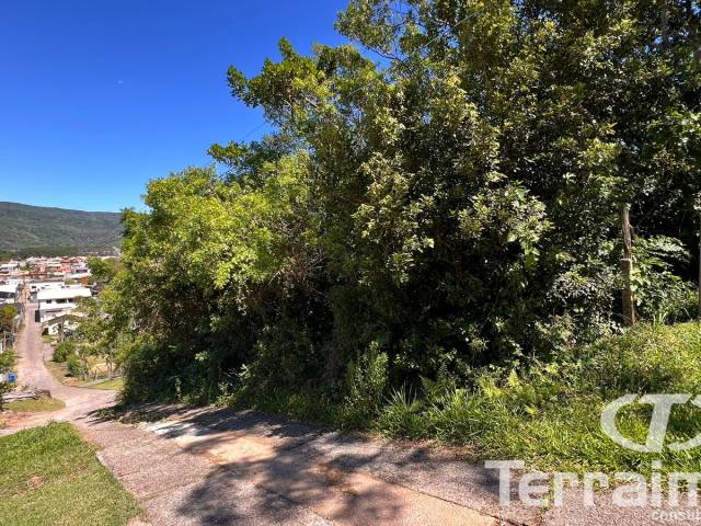 Venda em Pinguirito - Garopaba