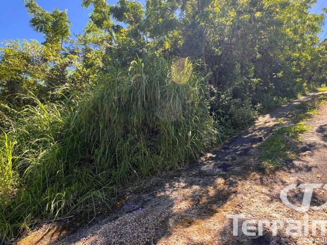 #793 - Área para Venda em Garopaba - SC - 3