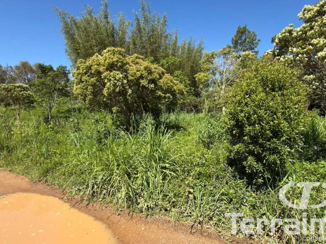 #798 - Área para Venda em Garopaba - SC - 2