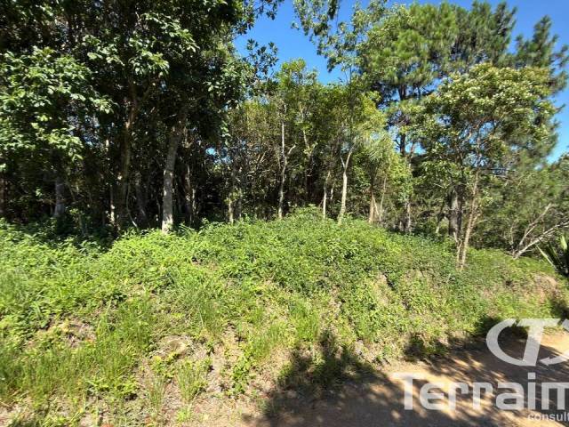 Venda em Morro da Silveira - Garopaba