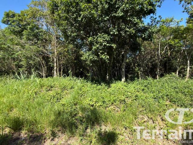 #799 - Área para Venda em Garopaba - SC - 3