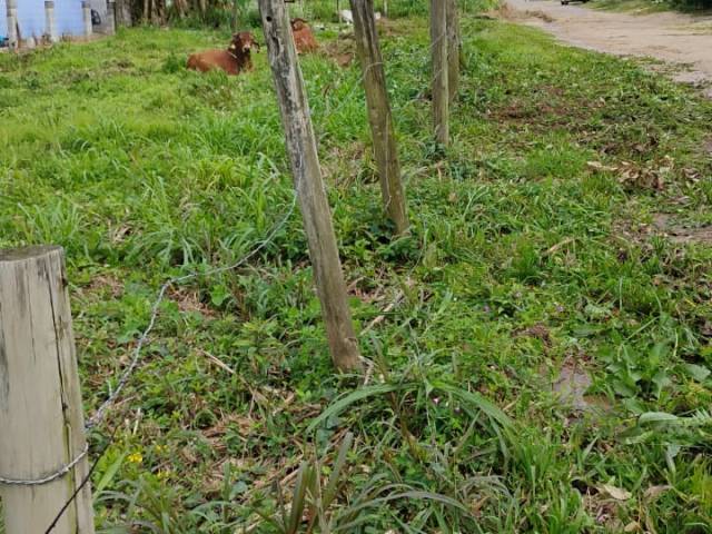 #808 - Terreno para Venda em Garopaba - SC - 3