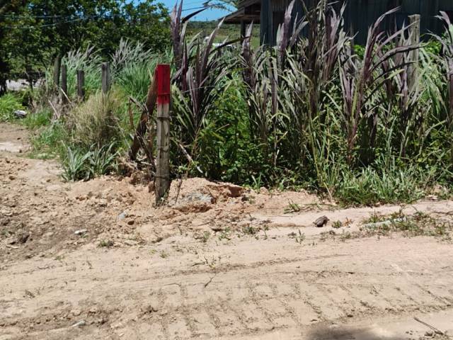 Terreno para Venda em Garopaba - 4