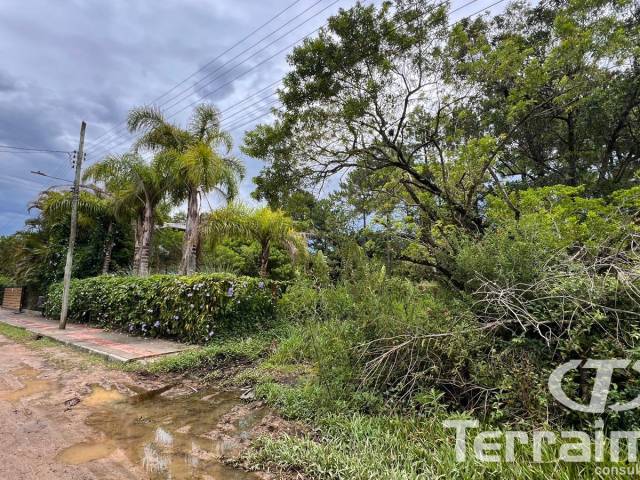 #828 - Terreno para Venda em Garopaba - SC