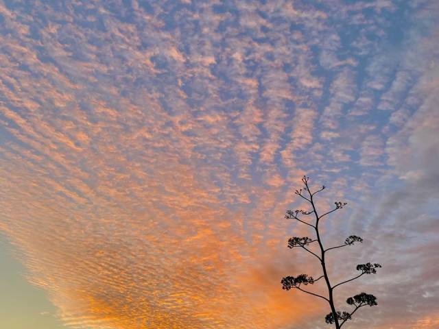 #834 - Área para Venda em Garopaba - SC