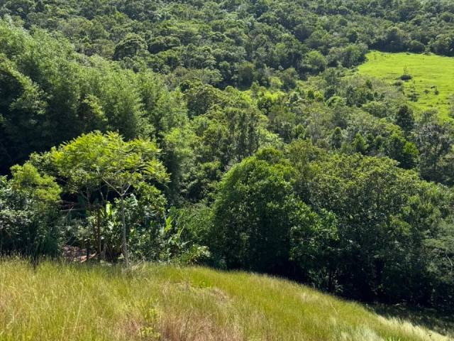 #844 - Terreno para Venda em Garopaba - SC