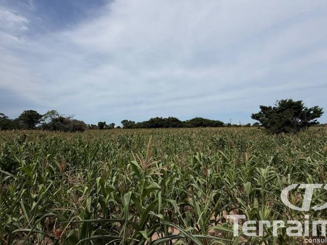 #848 - Área para Venda em Imbituba - SC