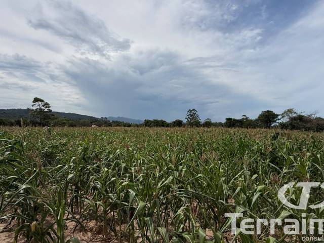 Área para Venda em Imbituba - 4