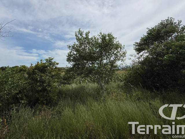 Área para Venda em Imbituba - 5