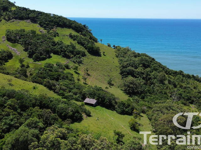 Área para Venda em Garopaba - 4